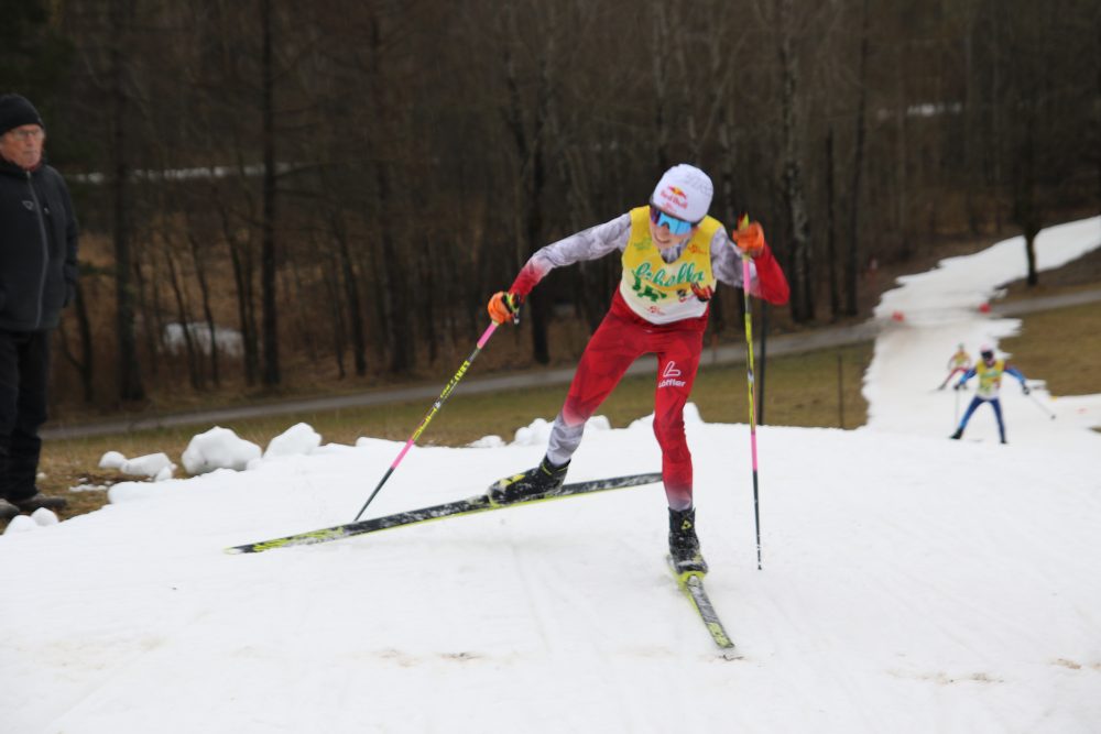 Elias Mühlbacher